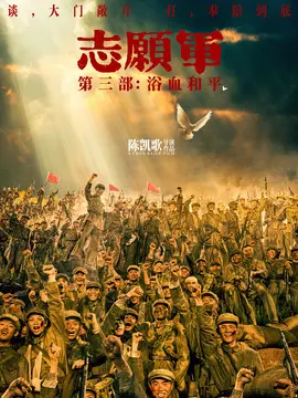 志愿军：浴血和平简介